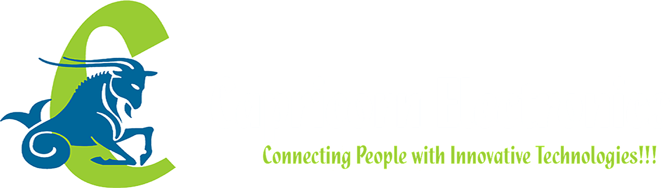 Capricorn Electronics logo